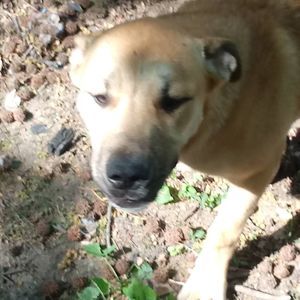 Meet your Posher, Peter